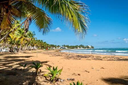 Seaside Serenity - Cozy Studio Apartamento Luquillo Exterior foto